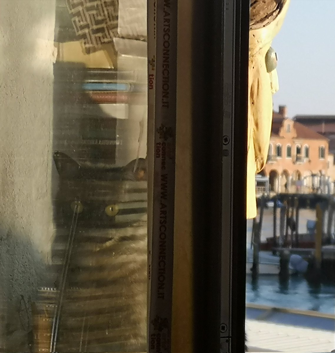 LisettePhotogr1's tweet photo. #mywindowview by @LisettePhotogr1 https://t.co/Cb7H5k6n5U