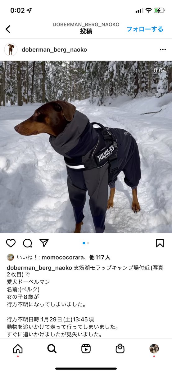 AK47PUNK's tweet photo. 知り合いのドーベルマンが迷子になってしまいました。
拡散頂けると助かります。
宜しくお願い致します。 https://t.co/syOamZQU27