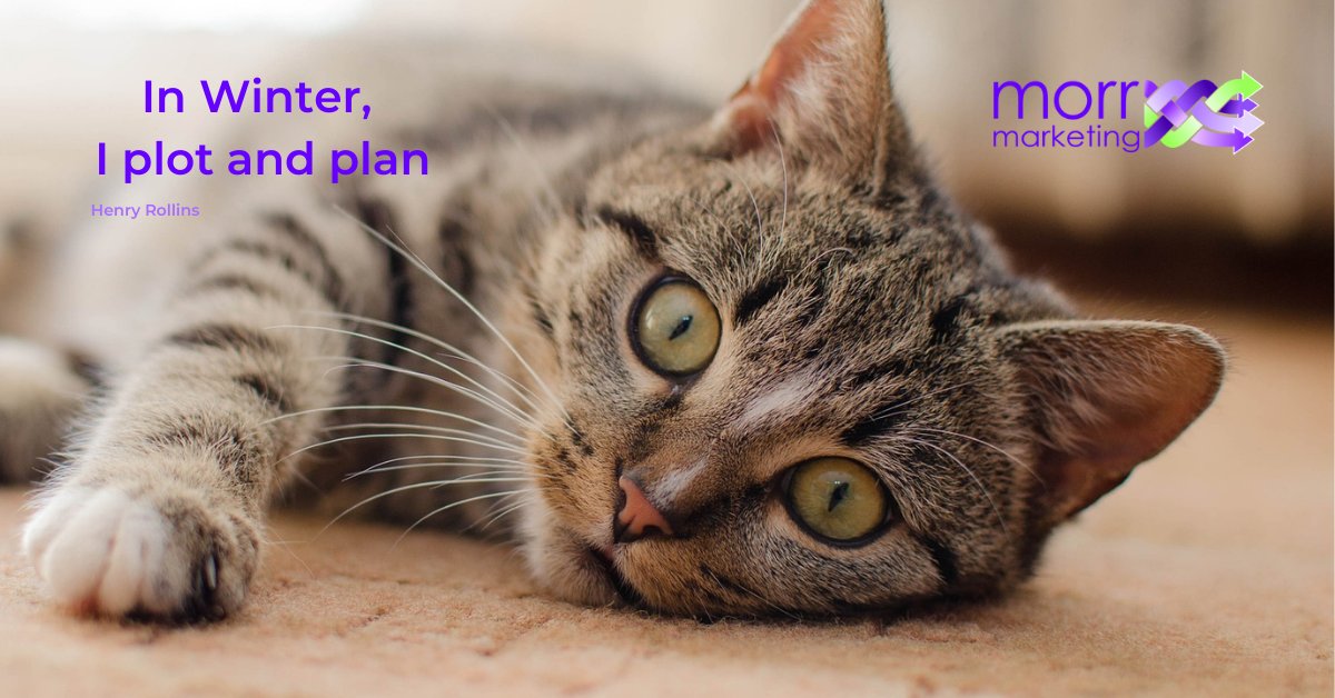 MorrMarketingEU's tweet photo. "In Winter, I plot and plan."
- Henry Rollins

#MorrMarketing #JanuaryQuotes https://t.co/5n59MEtQ41