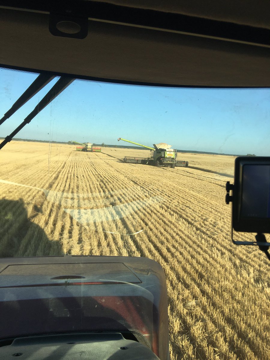 What ya not quite keeping up 🤦‍♂️🌾🌾