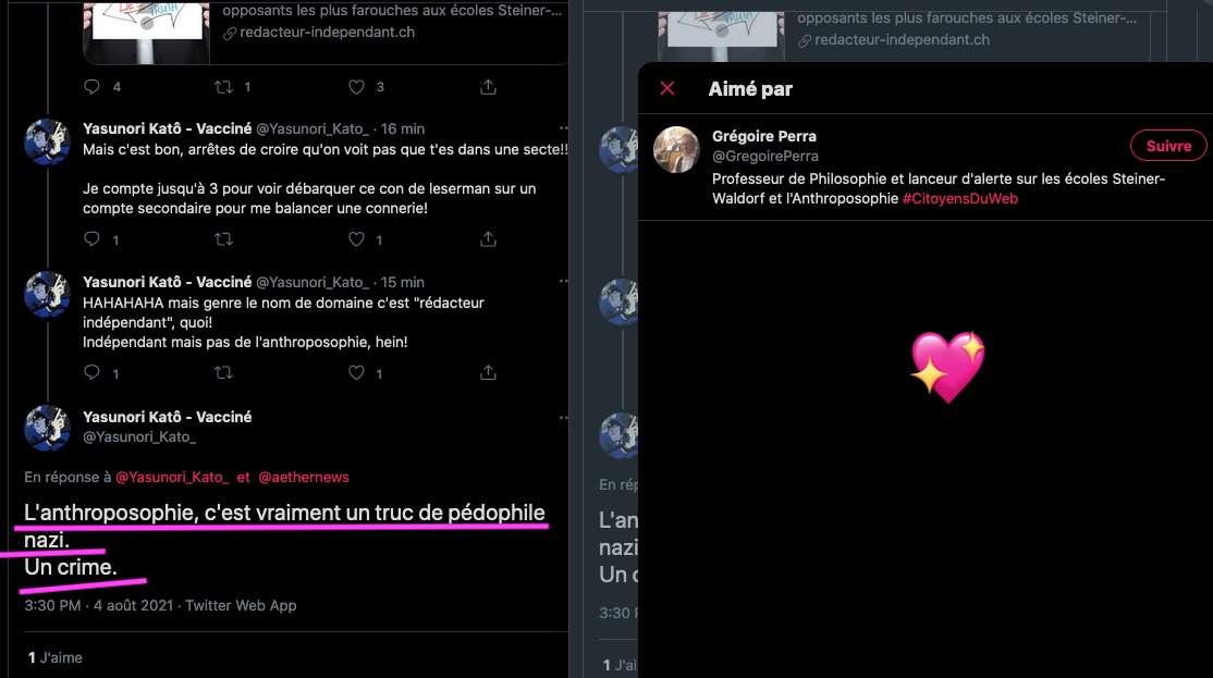 SylvainFreres's tweet image. Aimer et encourager des propos de la sorte c'est tordu et retors au possible. Une vague de haine inouïe à eu lieu à l'encontre de l'anthroposophie et des anthroposophes au mois d'août. Des empilages conséquents à explorer en commençant ici: lamehumaine.com/2021/07/03/ant… Non exhaustif.