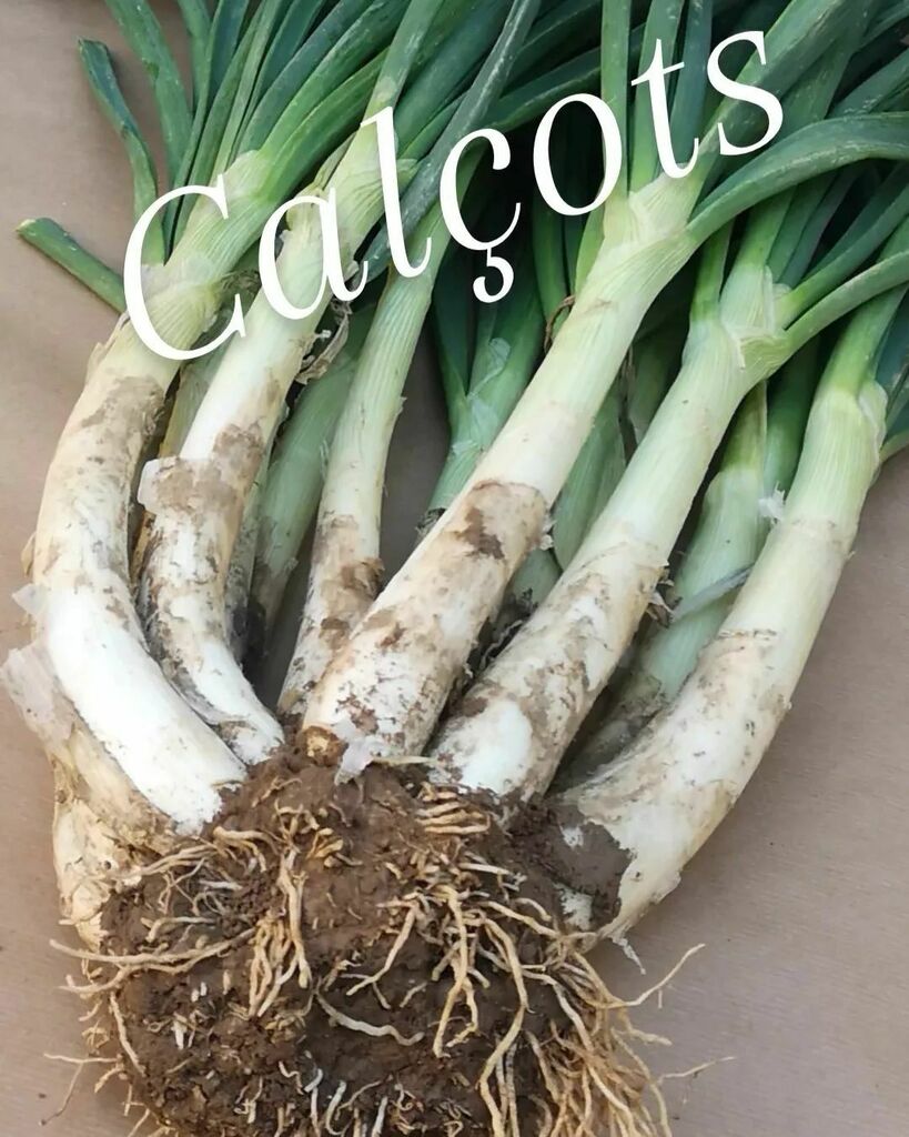Calçots, del huerto a casa.
.
.
.
#calsots #calçots #calçotsexperience #temporadadecalçots #calçotsadomicilio #calsotsadomicilio #calsotsacasa #calçotsencasa #cataloniafoodexperience #foodiecalçots #photocalsots #calçotadaacasa #calçotada #calsotada #calcots #photocalçots