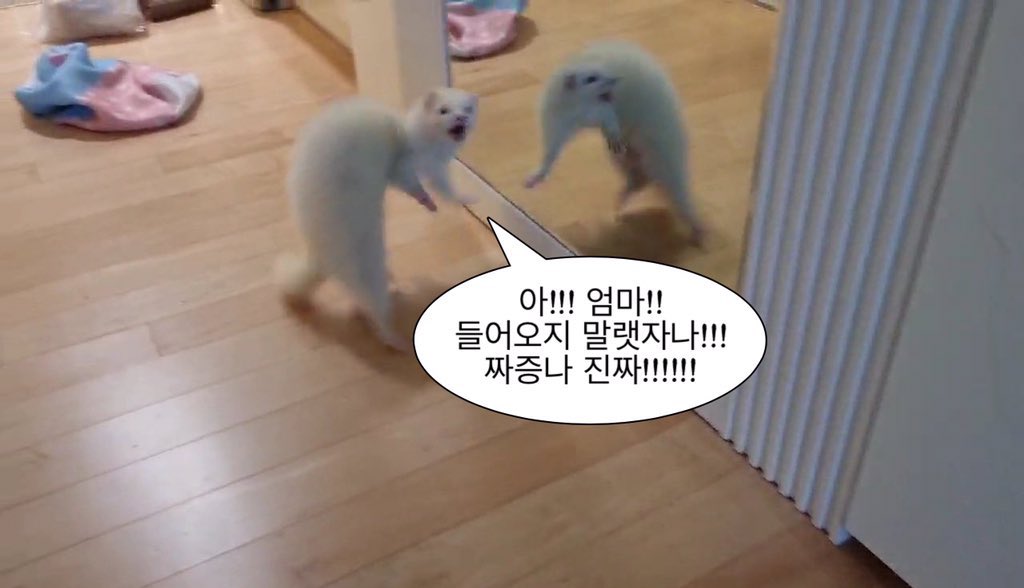 Q피드 (@q_upid) on Twitter photo 