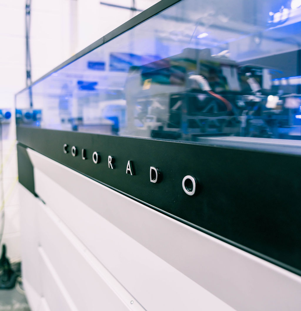 DesignXpressNE's tweet photo. The Colorado printer is operations directors, Carl’s, absolute fav <3 

This printer is a roll-to-roll production printer. It works super well through our peak times. 

Isn’t she a beauty…Carl? 😍

#northeastengland #northumberland #northeast #uk #newcastleupontyne #newcastle https://t.co/DYI9tlT0YR