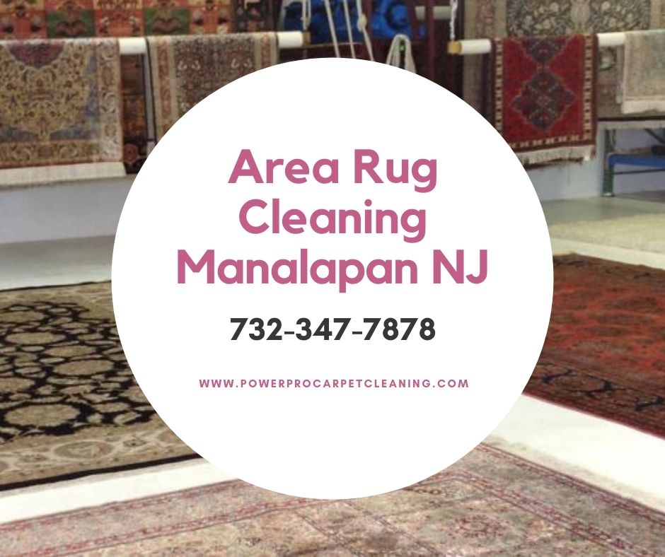Area Rug Cleaning Manalapan NJ