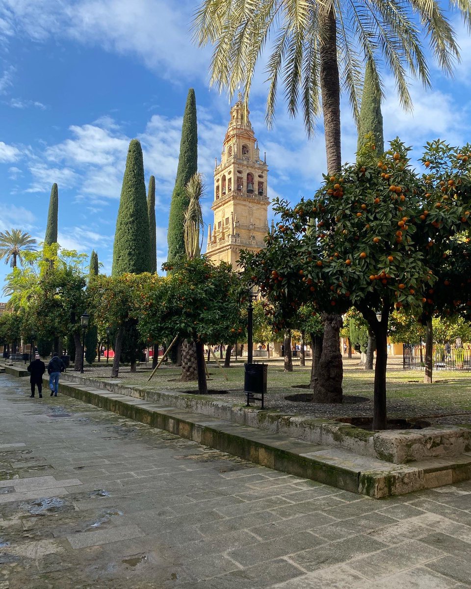 TheGuidesUNeed's tweet photo. We are based in #Madrid, however, how could we not post about other places in our beautiful country? Ladies and gentlemen: the astonishing Córdoba. 

You really need to come.

📸are our own😏

#Cordoba #andalusia #tourism #spain #art #tourguides #tourguideslife #WeLoveThisPlace https://t.co/nLbEWdihaA