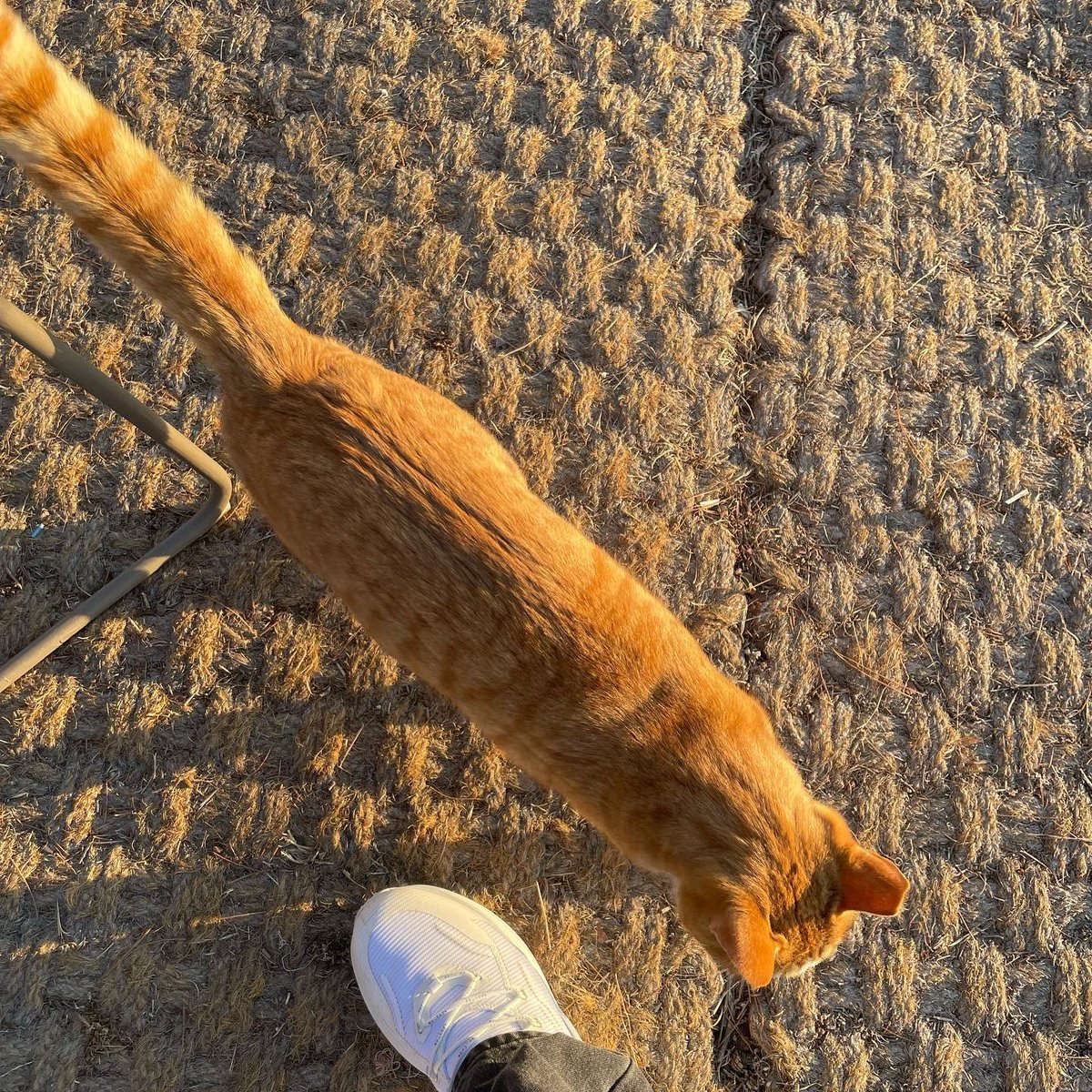 doyanday's tweet image. 소중하다..