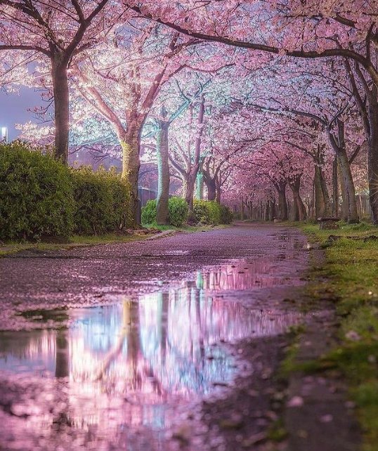 Navreet41389354's tweet photo. #NaturePhotography 
...amazing  place for .  .   .! https://t.co/C1dhPG4qlz