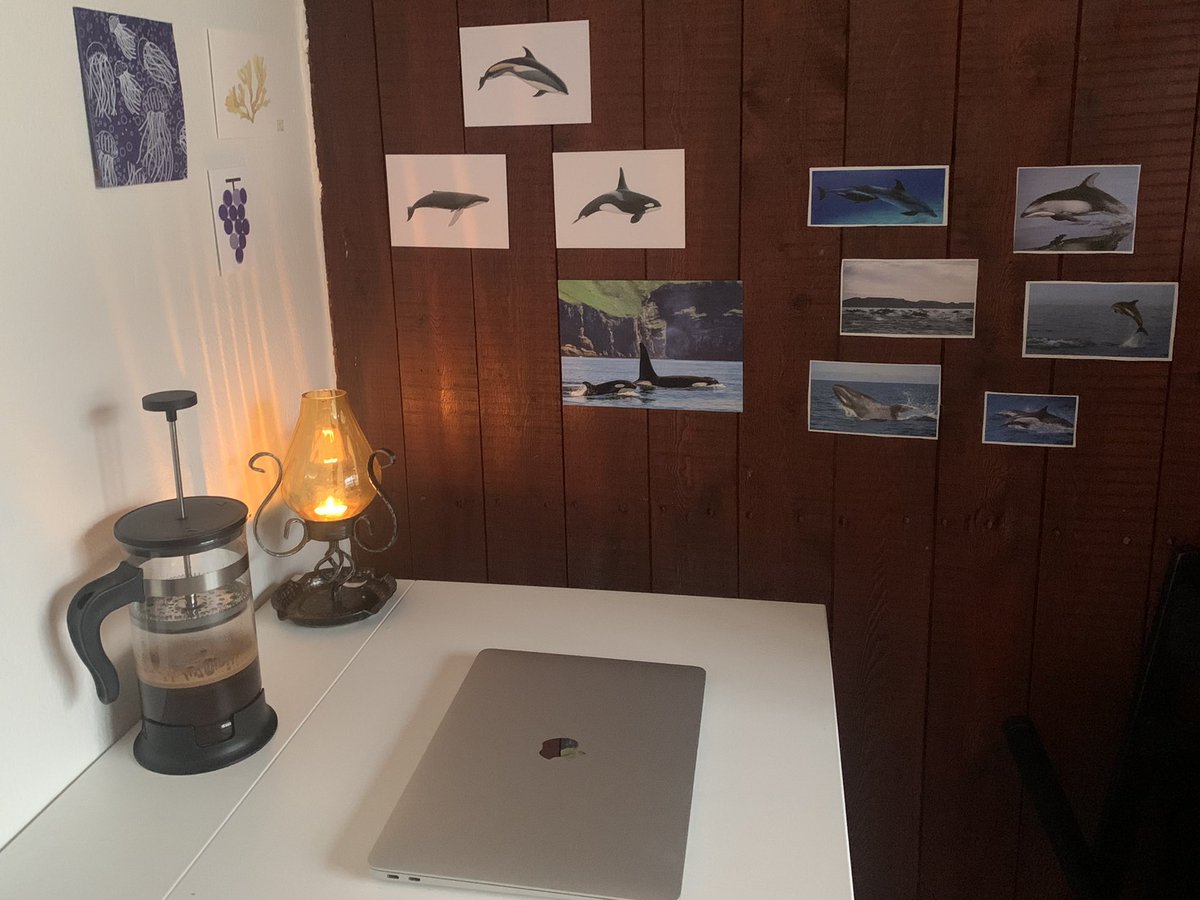 eilidhsobrien's tweet photo. a moment of appreciation for my desk corner 💙 https://t.co/ubymKyXqu9