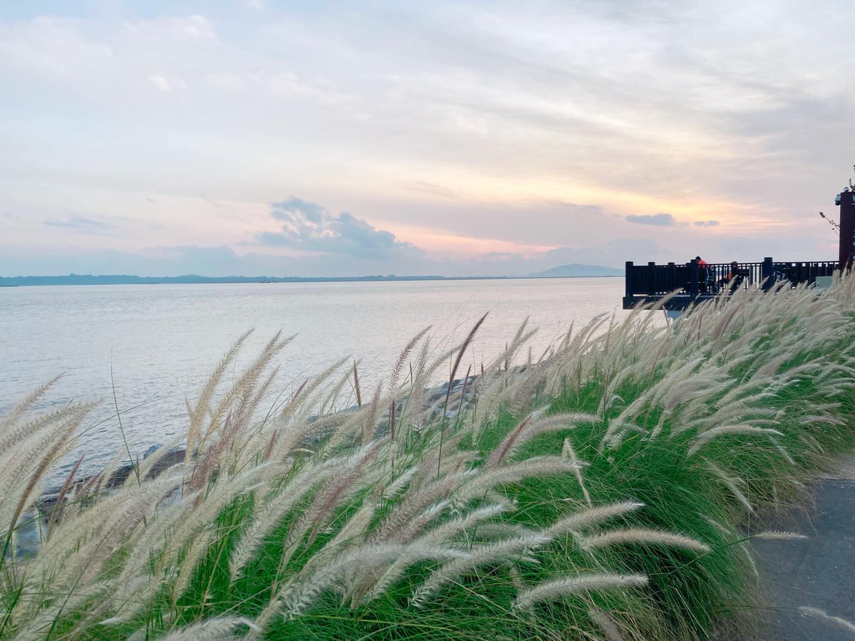 Mothership tweet media