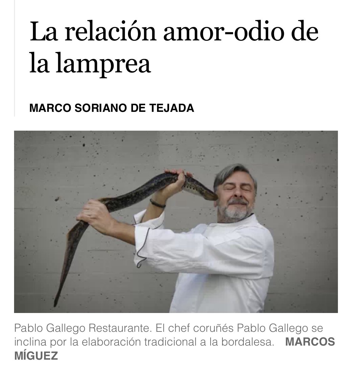 Pablo Gallego (@pablogallego9) on Twitter photo 