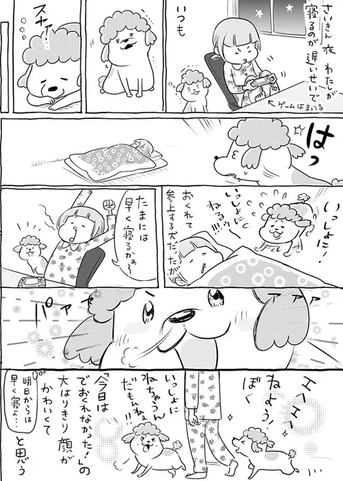 夜更かしをするようになった飼い主 犬と猫の行動に「あるある!」『犬と猫どっちも飼ってると』 https://t.co/wq6jNQjJfP @grapeejpより 