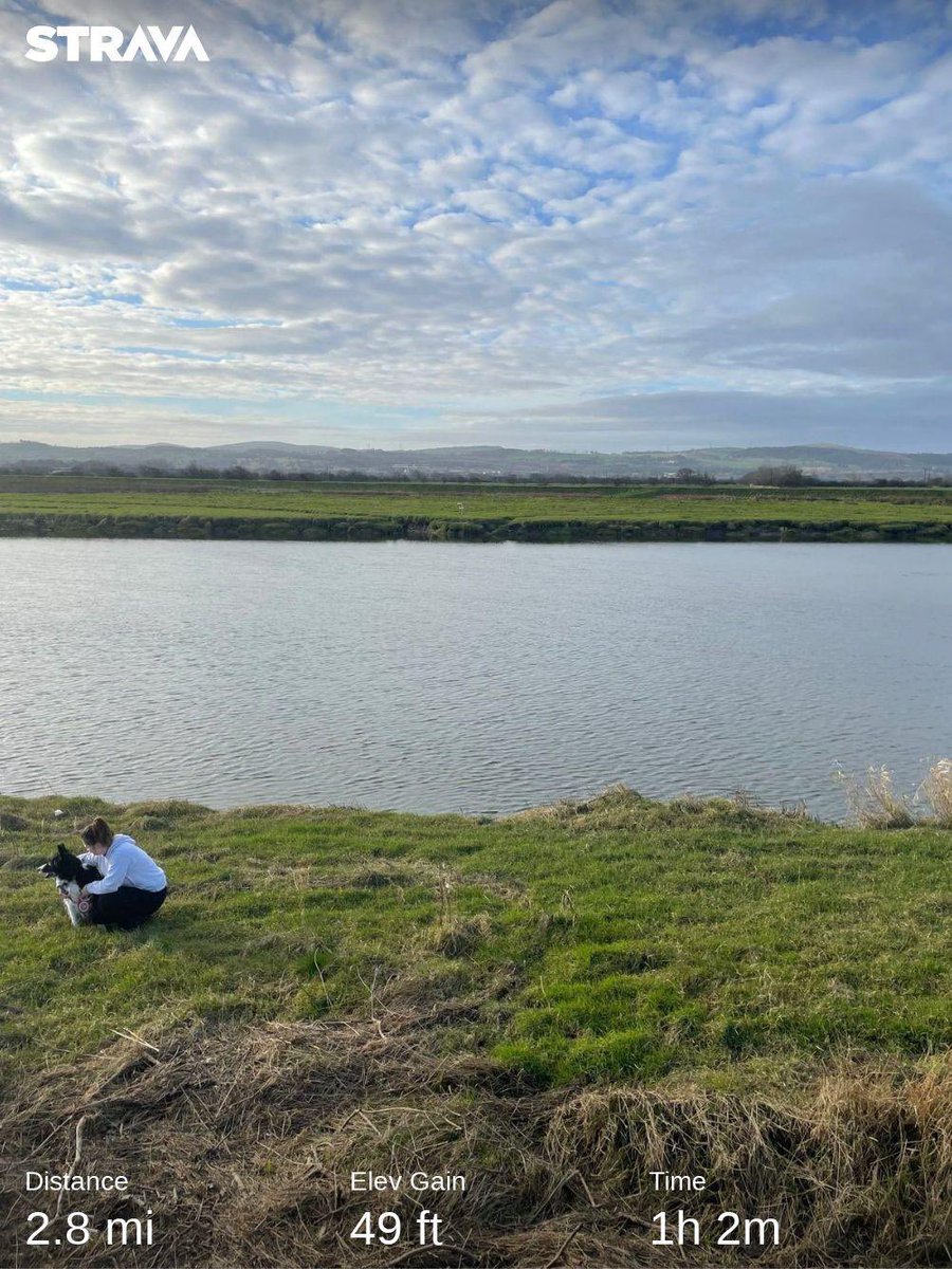 Nikki Foulkes tweet media