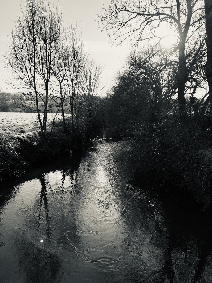 kelvinglen's tweet photo. Great walk exploring the local woods https://t.co/13CtIY8zYJ