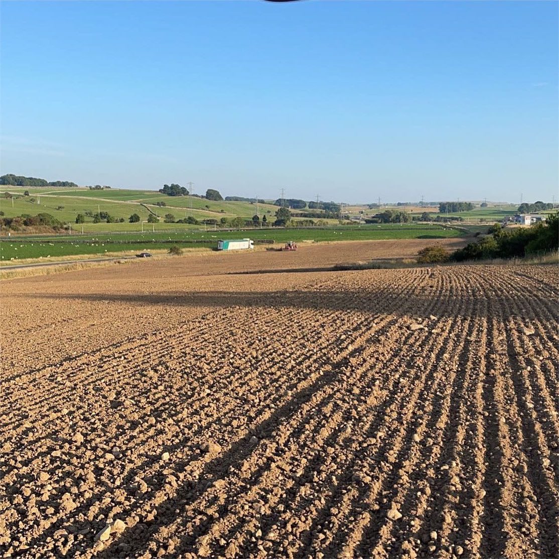 Matthew Blair tweet media