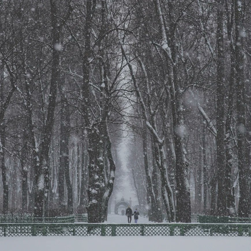 kutaisov's tweet photo. Snowblind.

"My eyes are blind but I can see
The snowflakes glisten on the trees
The sun no longer sets me free
I feel there's no place freezing me"
(Black Sabbath - Snowblind). 
.
 #sanpetersburgo #maneas #rusia

https://t.co/ocbetAkol4 https://t.co/BcRkYWHwN2