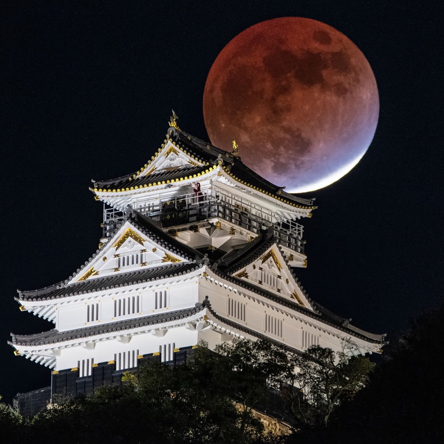 Atsushi Kobayashi 建築士と写真家 世界の果てまでイッテq をご覧いただきありがとうございました 世界の果てまでイッテq イッテq 岐阜 岐阜城 岐阜市 月と岐阜城 ギャビン T Co 6btzoxli Twitter