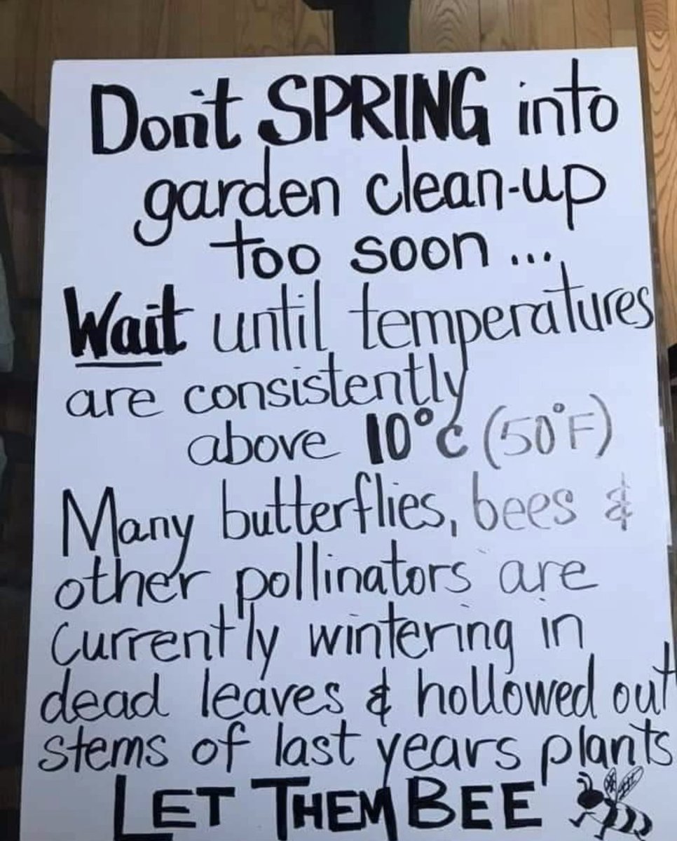 Suzi Shingler ππ (@shinglersuzi) on Twitter photo Beautiful day today π
Don't be tempted to tidy up the garden though...ππ¦πππͺ°πͺ³π¦πͺ²π¦ππ Beautiful day today π
Don't be tempted to tidy up the garden though...ππ¦πππͺ°πͺ³π¦πͺ²π¦ππ