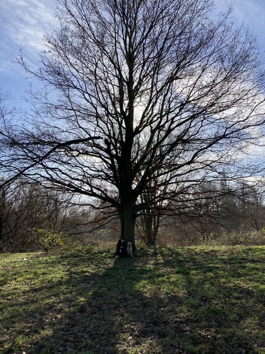 RussellGirls's tweet photo. Quality mum daughter doggie time @Mote_Park @guidedogs deserve time off to play with their doggie friends. Mabel wears a bell so I can hear where she is and I use my #GuideCane so she can run free. Pic shows dog and daughter in front of tree. #SpotTheDog https://t.co/L5QKHYz8Mi