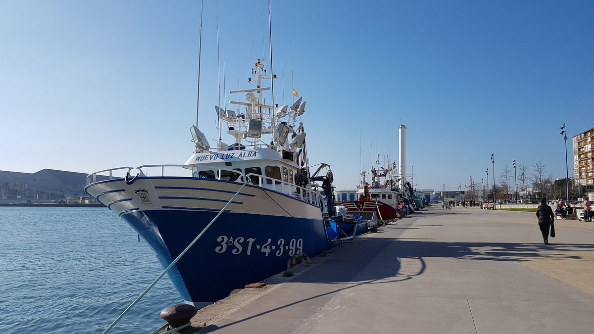 Adrián P.Barandica tweet media