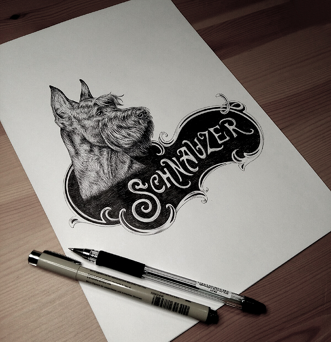 alsep_art's tweet photo. work in progress #ink #art #dog #Schnauzer https://t.co/Og9hIKcZtB
