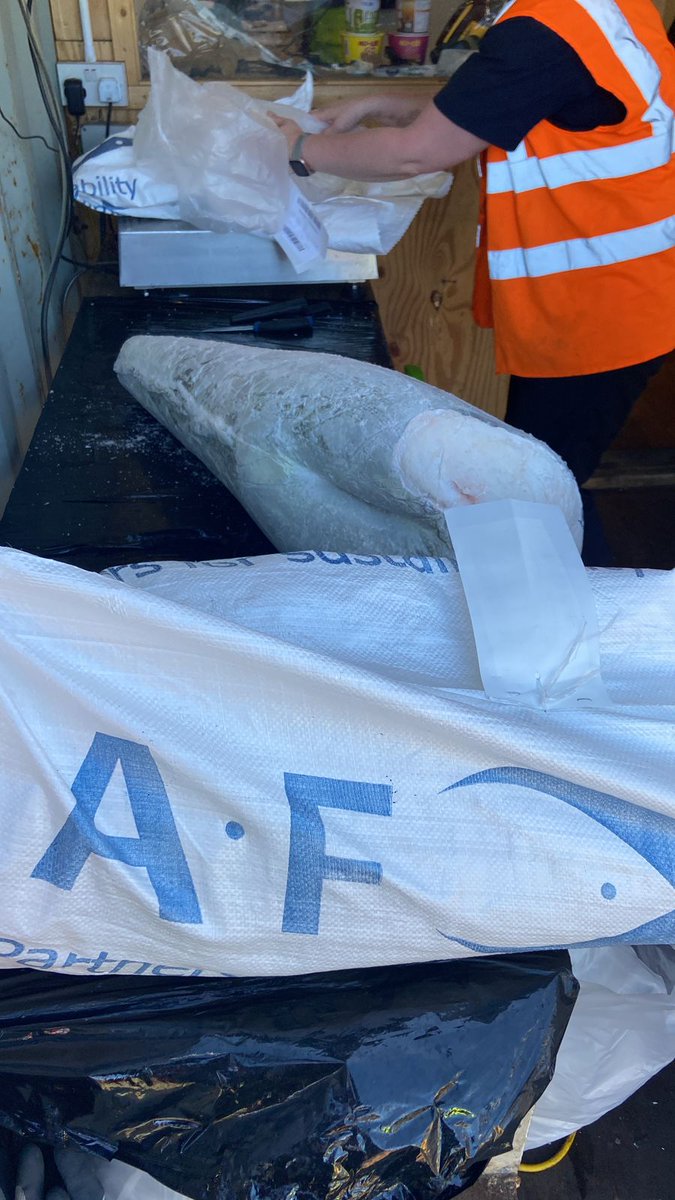 Quality and rare weights check <a href="/STANLEY/">stanley 🐻🐧</a> #falklandislands