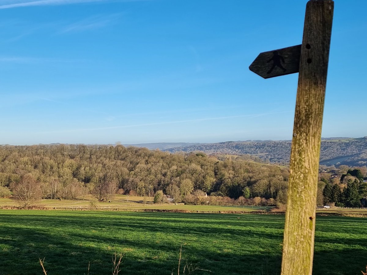 Beautiful early morning bimble round Shining Cliff Woods, Ambergate ... reminds you that you're alive ❤