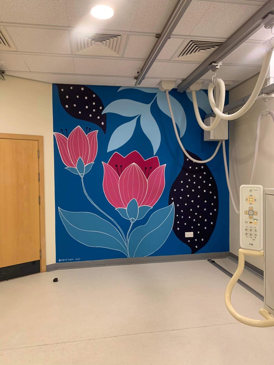 morag1302's tweet photo. So last year I had an idea to transform up my x-ray rooms to make them more child friendly &amp; less clinical. With grateful thanks to The League of Friends @ManxCare &amp; the talented #KarolinaPawlowska #CupOfLayna the murals are complete 🥰😍 https://t.co/UjtDfLlvPo