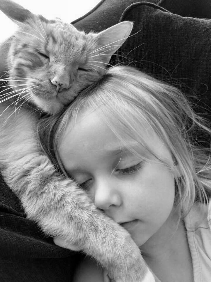 Coeur_Turquoise's tweet photo. #BeauDimanche #HappySunday ~♡~
Un peu plus de douceur,
Un peu plus d'attention,
Un peu plus de tendresse,
Un peu plus de coeur,
Ferait à chacun
Beaucoup, beaucoup
De bien...
#PenseeDuJour
#ligue_des_optimistes 🍀 https://t.co/jm1HlxrkUe