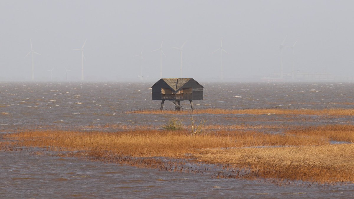Hoog water in de Dollard! Kiekkaaste onbereikbaar, maar daardoor eigenlijk nog mooier dan anders.