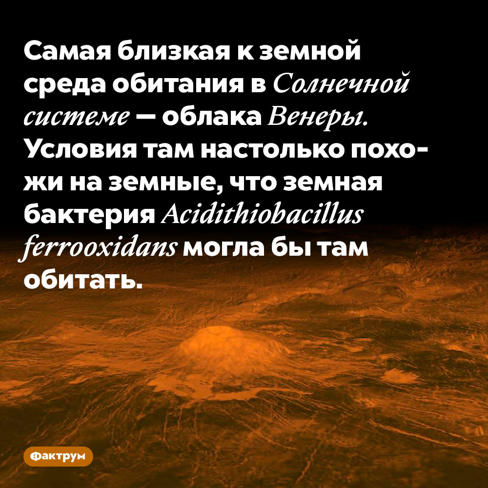 Фактрум tweet media