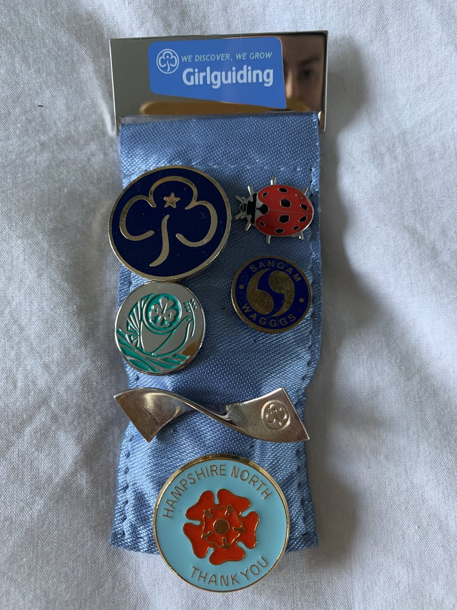 emmatheOT's tweet photo. Proud 🐞 received the #GoodGuiding Award from #HampshireNorth @Girlguiding @GirlguidingSWE #meaningfuloccupation #nextsteps becoming a Brownie Leader 💛 https://t.co/XyWdJhDNGS