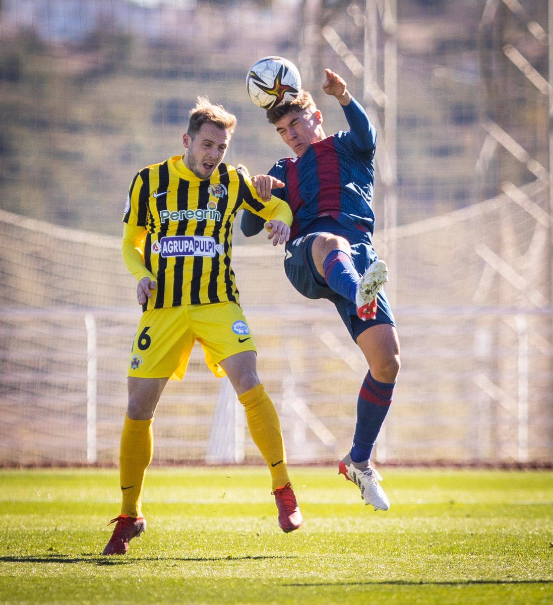pulpileatletico's tweet photo. ¡FINAAAAAAL EN LA CIUDAD DEPORTIVA DEL LEVANTE! 

¡Sumamos +3 en Buñol gracias un golazo de @EmilioIgl10! 🔥🔝

@CanteraGranota 0-1 @pulpileatletico https://t.co/6wdmoj11js
