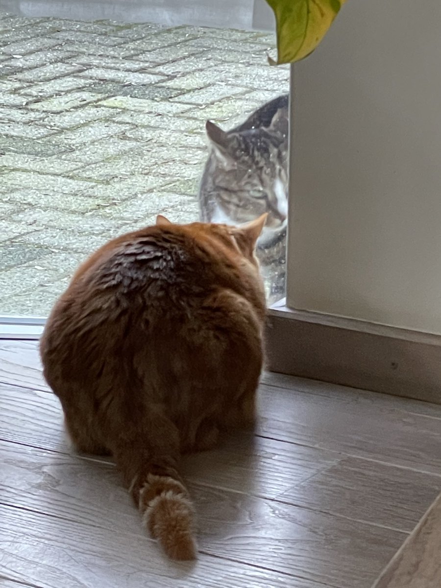 “Als jij nou niet opdondert bij mijn raam, kom ik zo even naar buiten ja”?!