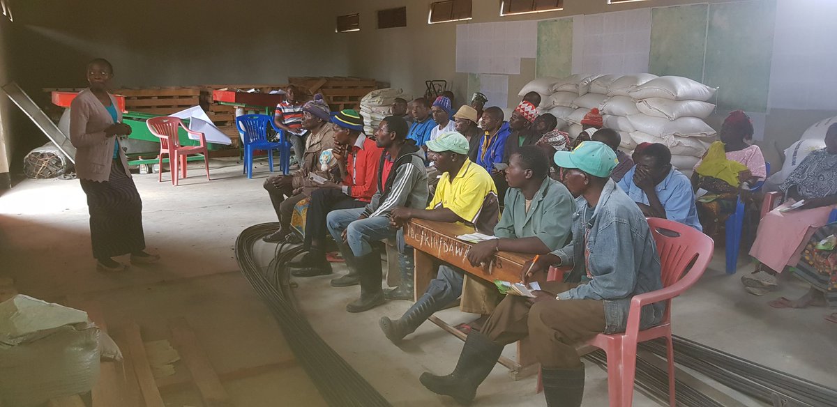 Elated to seeing farmers are doing it practically following up what exactly you trained to do.
Promising move of the soybean market Catalytic Finance project big up to partners @IFCU , <a href="/ClintonFdn/">Clinton Foundation</a> <a href="/tadbtz/">Tanzania Agricultural Development Bank</a>