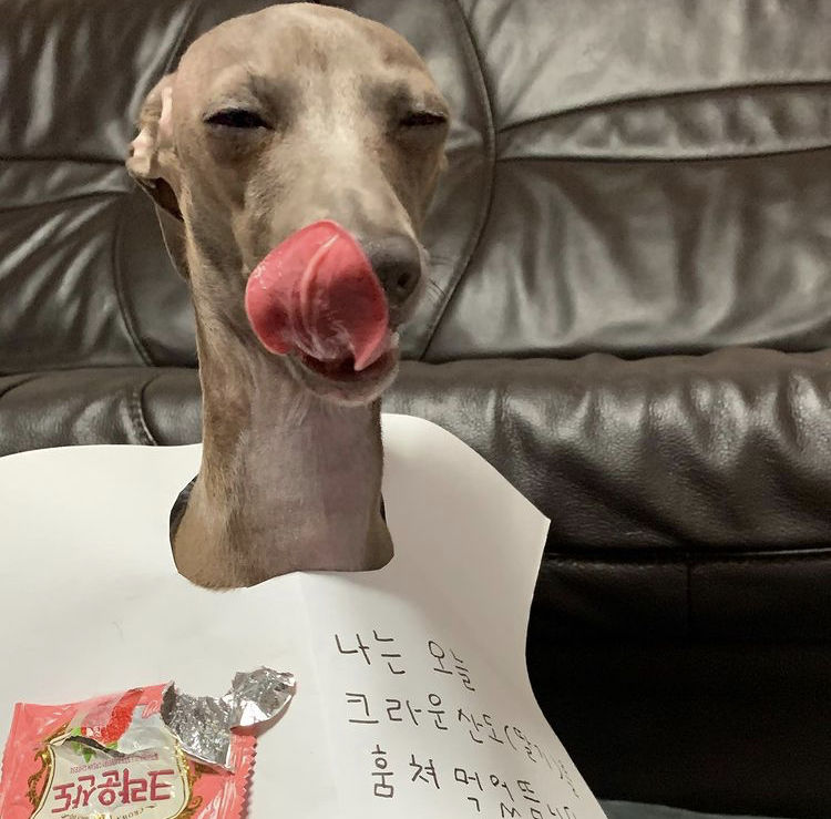 gaeuggyeo's tweet image. 크라운산도 훔쳐먹고 매우 만족한 표정 됨