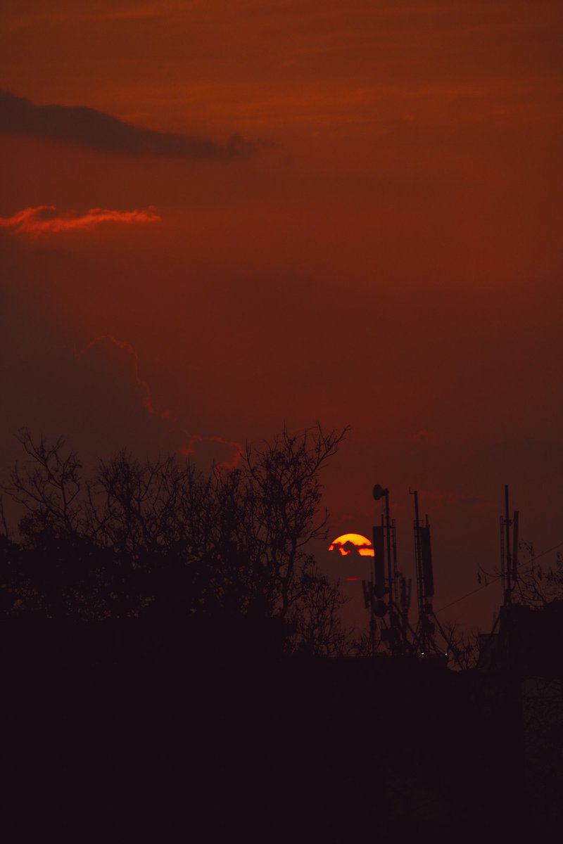 JagritiNadiger's tweet photo. Oh, Bangalore Part 9! It was so hard to catch that orange ball today but this is what I could capture XD https://t.co/JulXowISVu