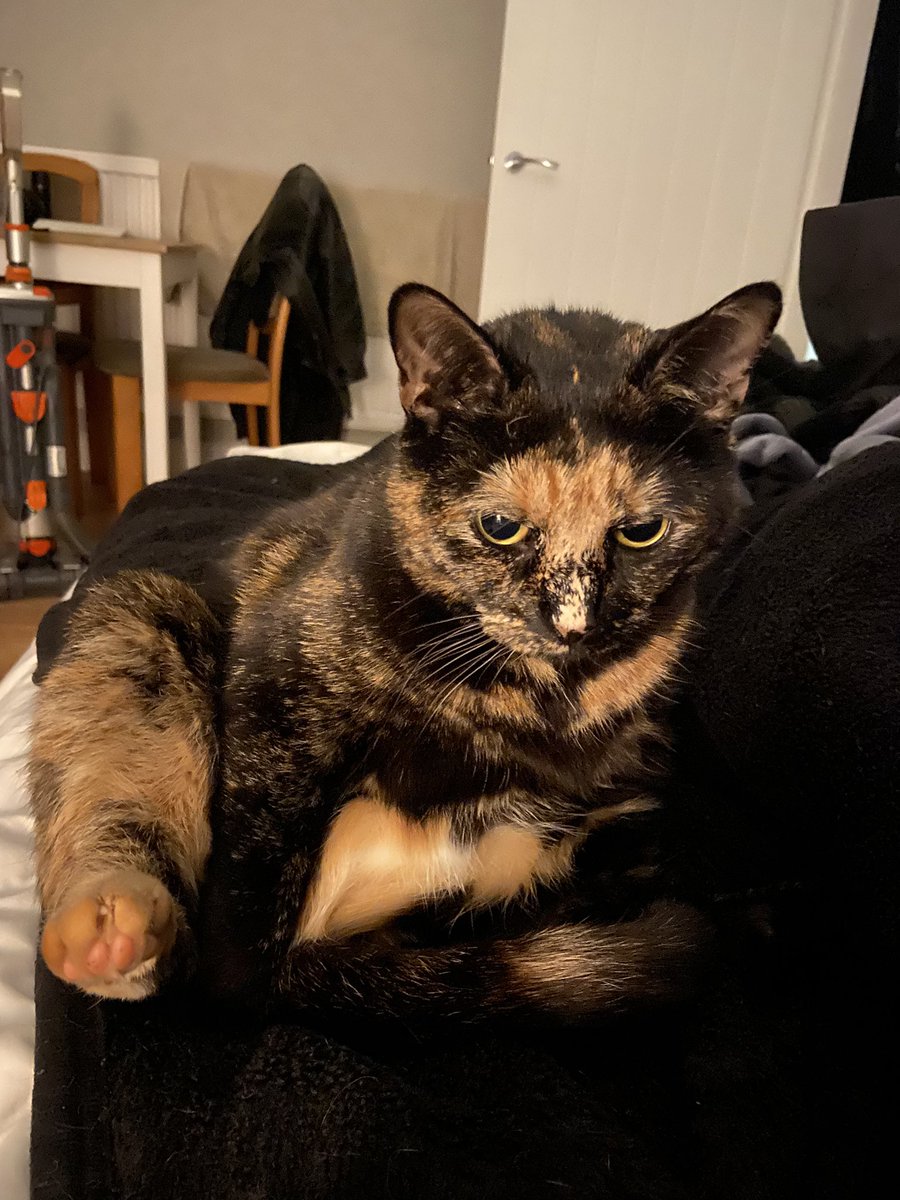 gem 🦇 tweet media