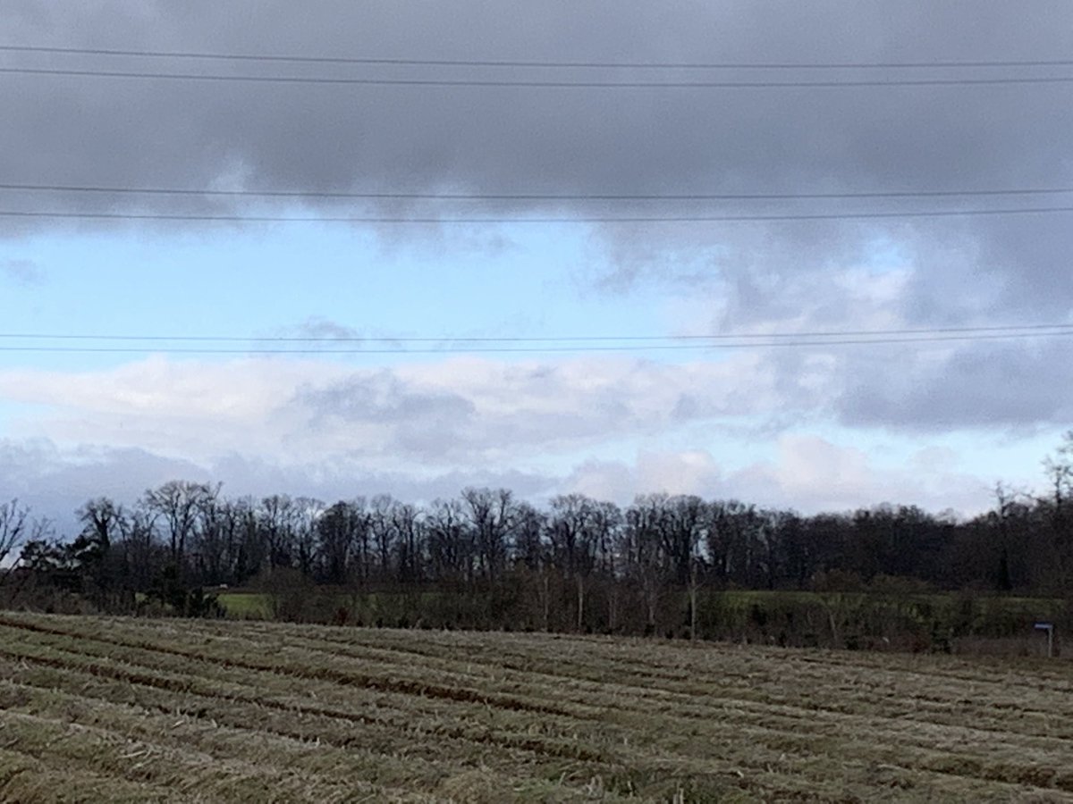 Gayatrirp's tweet photo. Two sides of the same field #bruderholz #baselland https://t.co/gd9VAoj0Mi