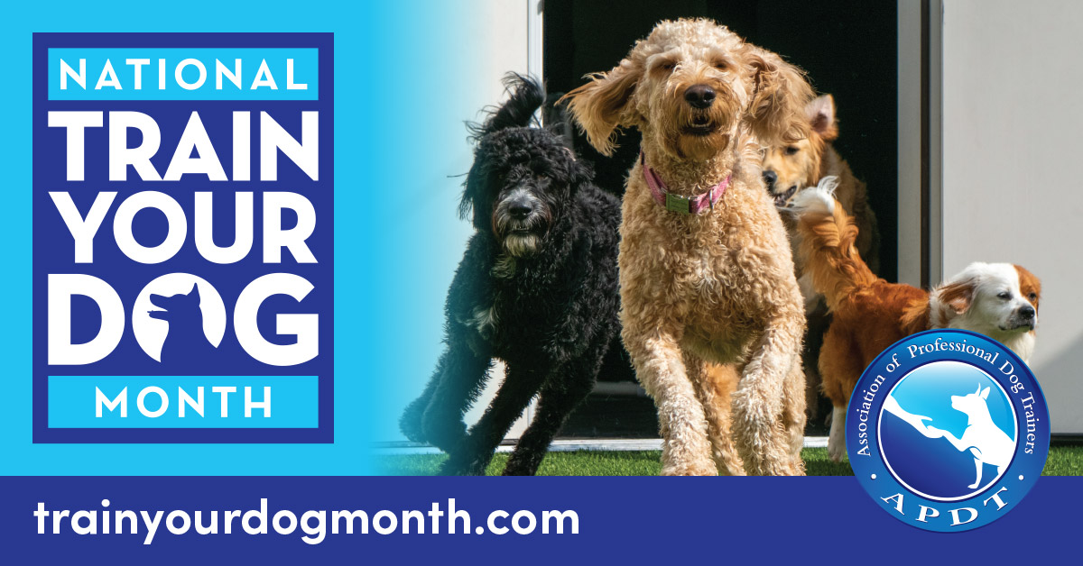 APDT's tweet photo. January is the APDT's National Train Your Dog Month! Follow us as we share ways to increase your bond with your dog. Do you and your dog visit dog parks? Learn more about proper dog park etiquette while you visit. https://t.co/rG7nqe7AIc #NTYDM2022 https://t.co/n0evlGR2QH