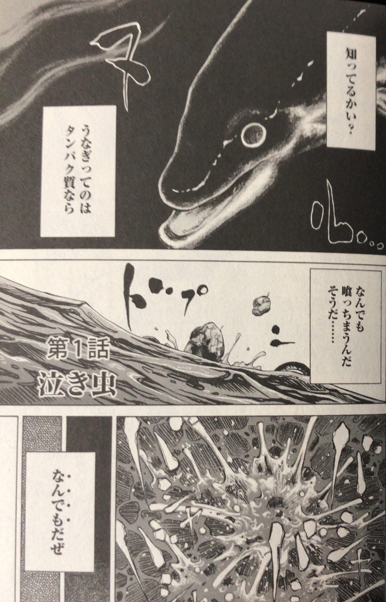 書肆鯖 ショシサバ Twitterissa 入荷情報 落合裕介 うなぎ鬼 高田侑の小説 コミカライズ T Co 2ioi2immcc T Co Jqdroge1hf Twitter