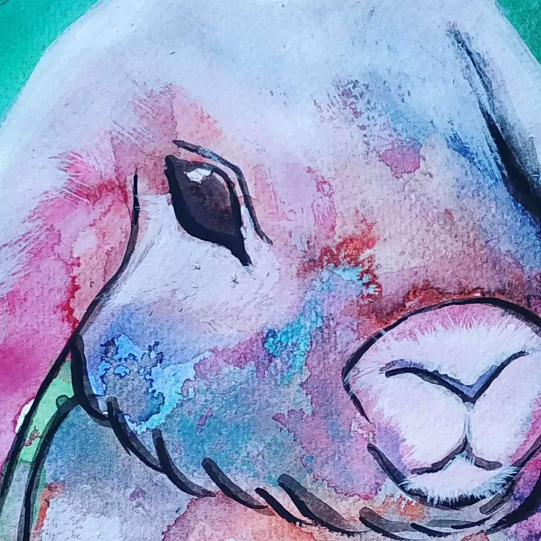Olgaolis's tweet photo. Colorful little bunny. Not sure how I feel about its proportions and all but it was such a bundle of color and I just couldn't keep it from the world
 #colorfulart #illustration #watercolor #watercolordrawing #smallartaccount #bunnypainting #watercolorbunny #colorfullbunny https://t.co/FcU1vWqFnU
