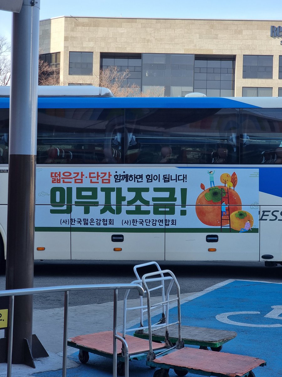 H_H_H_H_H_H_H_7's tweet image. 한국떫은감협회 와 한국단감연합회 라는 단체들이 있고 뭔가 엄청난 일이 일어난 뒤에 서로 평화를 되찾은 것 같다는 사실을 알게 된 뒤로 세상이 조금 더 아름다워 보인다