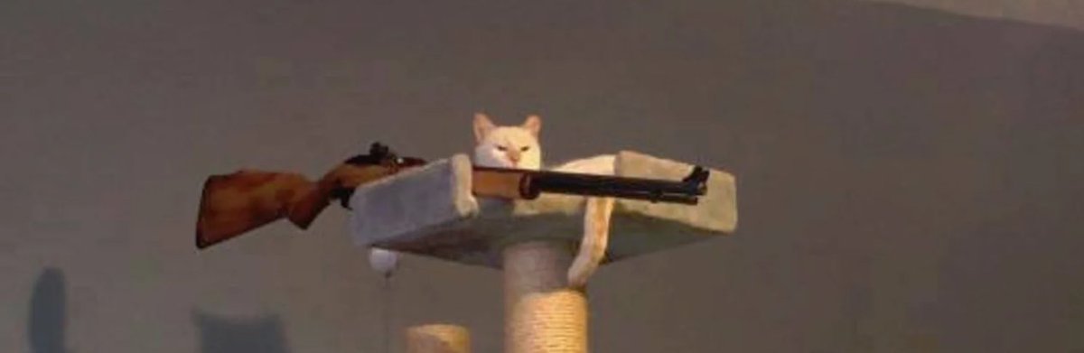 Кот угрожает. Кот с пистолетом. Кот с ружьем. Кот с винтовкой. Кот с ножом Мем.