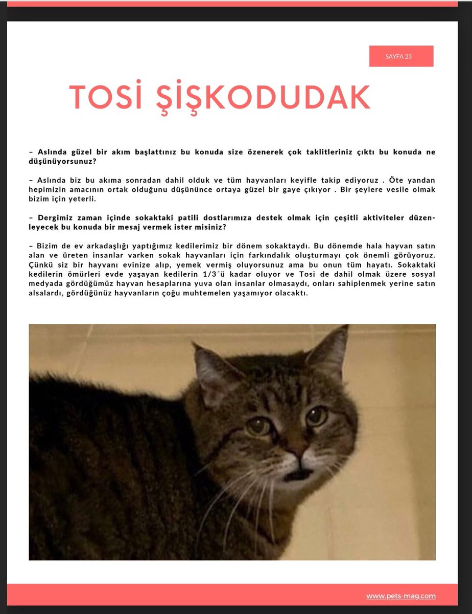 Tosinin mutlulukla bı ilgisi olmalı, tosili içerik görünce hızlı gecemiyorm <a href="/uzaylitosi/">Tosi şişkodudak</a> <a href="/Pets__Mag/">Pets Mag</a>