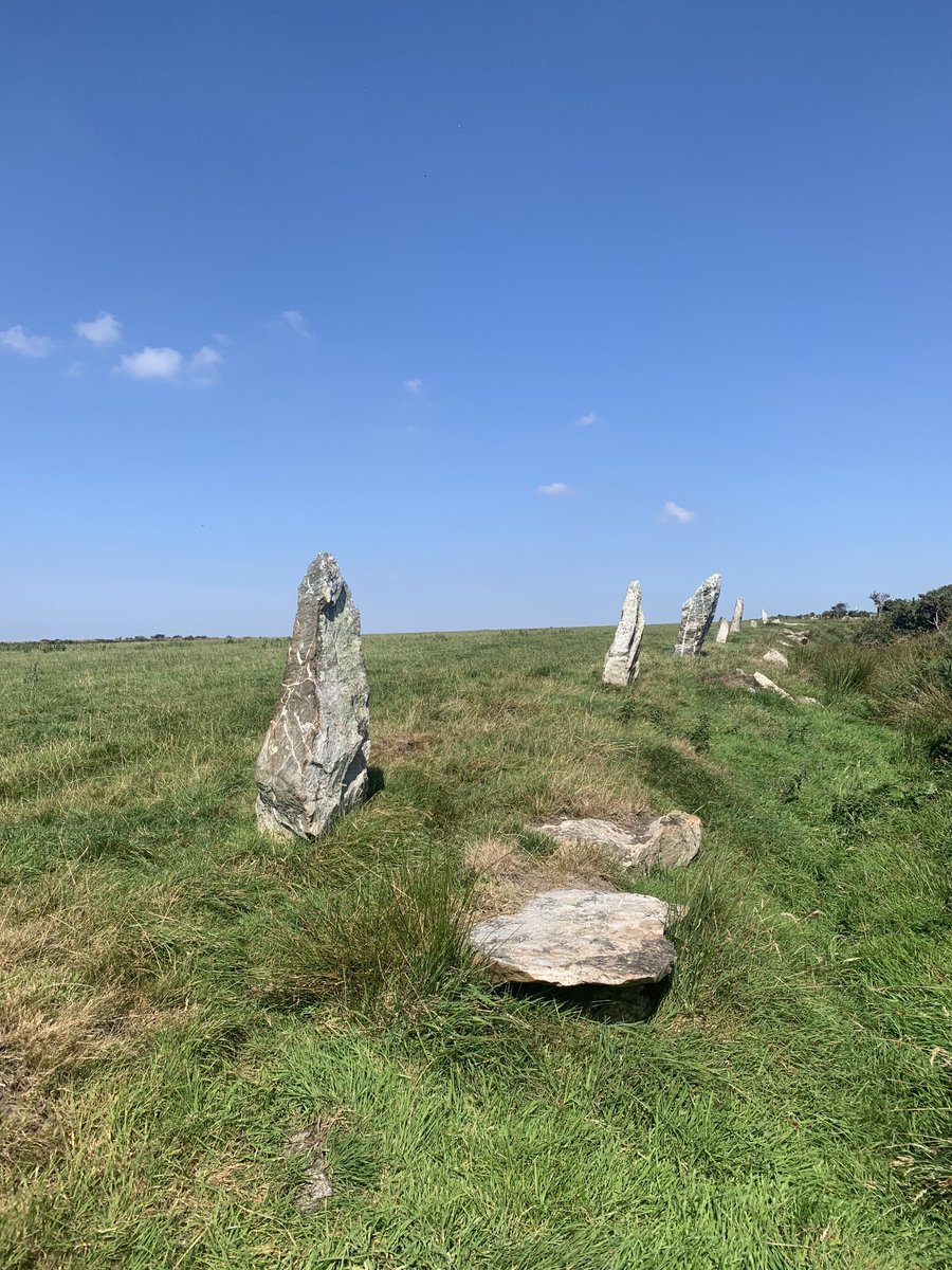 Nine maidens, Near St Columb (nearer death experience getting off road to find them!) #standingstonesSunday