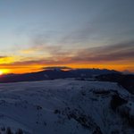 ツイートに含まれる画像