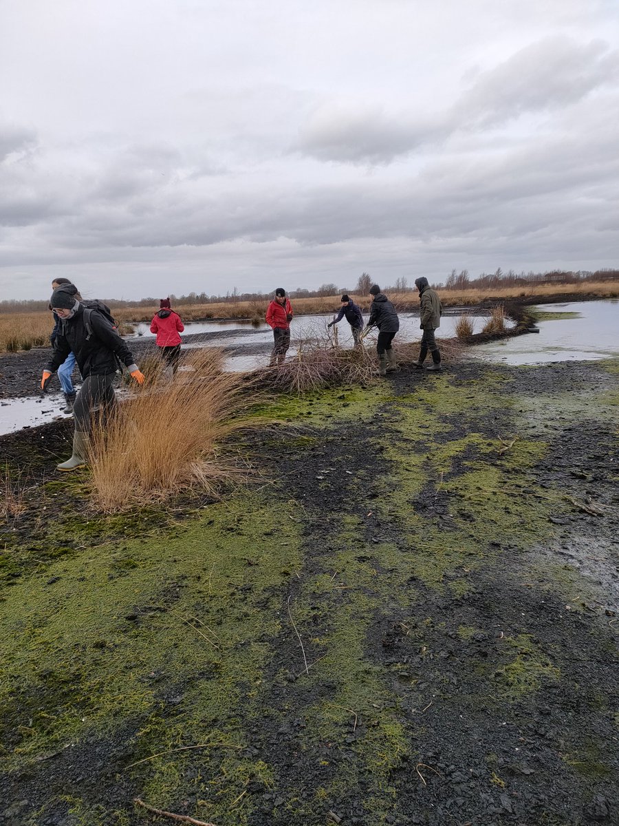 JealDaniel's tweet photo. Out with the @Lancswildlife  #youthcouncil on Little woolden moss today for scrub clearance, translocating plants and creating a dead hedge #focm @myplace2gr0w https://t.co/IF3qFKb0XH