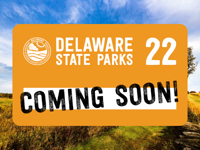 Delaware State Parks (DEStateParks) / Twitter