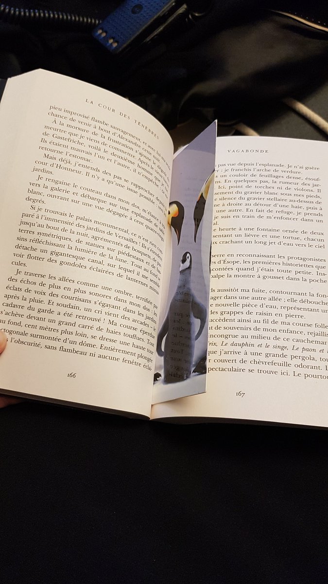 gea244's tweet image. När boken är jättespännande men rasten är slut. #ilandsproblem